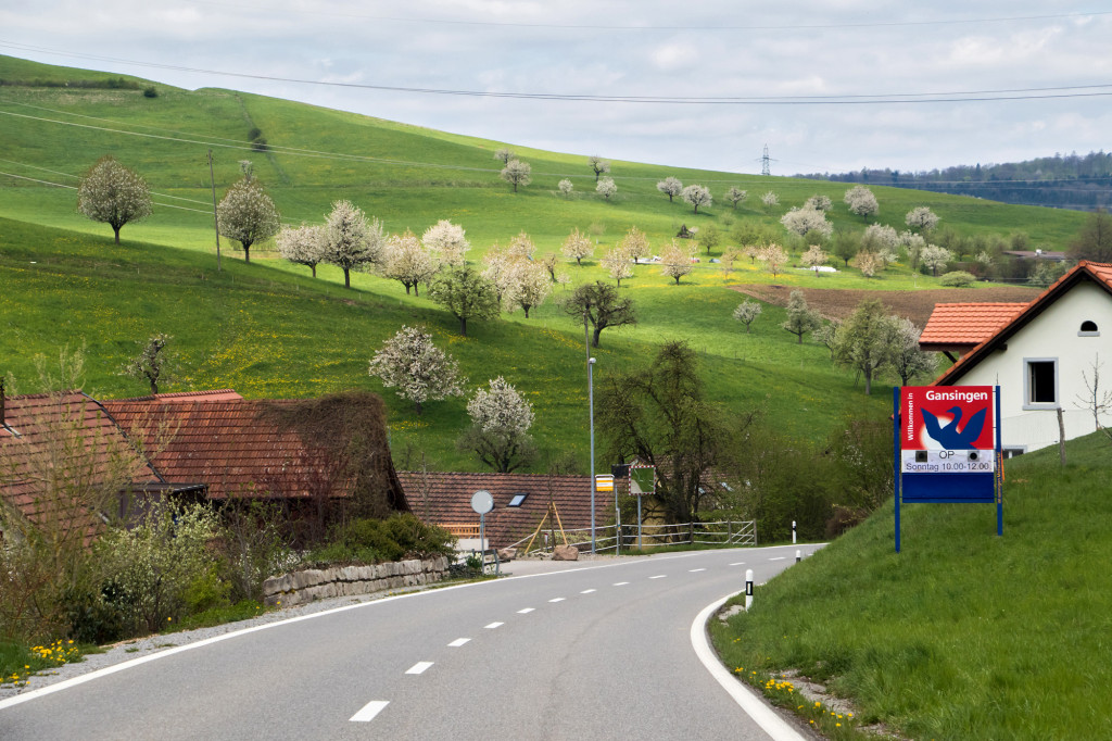 Willkommen im glücklosen Gansigen