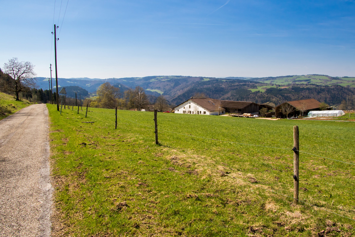 Auf dem Hochplateau angekommen, führt mich dieser aussichtsreiche Weg nach Les Pommerats