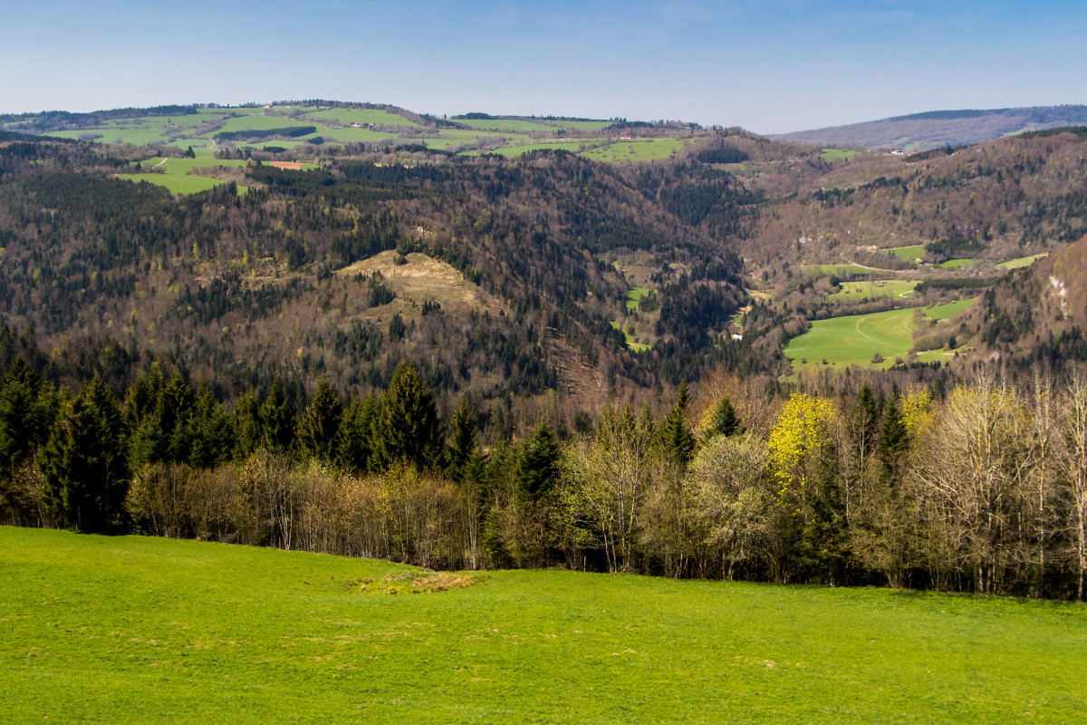 Blick auf die andere Seite des weit unten im Tal verlaufenden Doubs - willkommen in den spärlich besiedelten Freibergen!