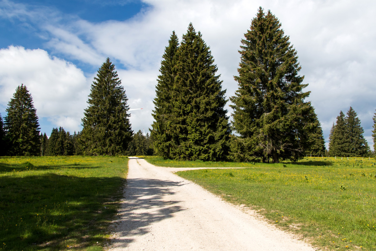 Auf dem Mont Croisin unterwegs