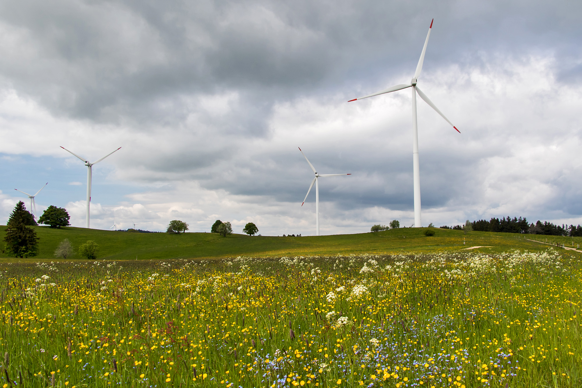 Der Windpark Mont Croisin (BE)