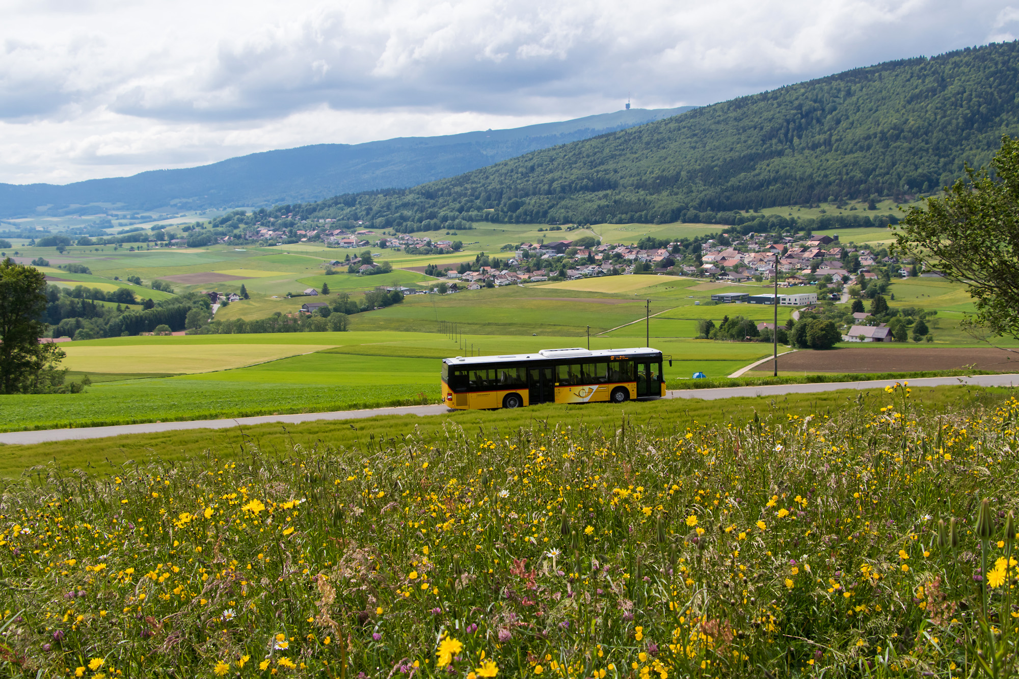 Auf dem Twannberg über dem Plateau de Diesse (BE)