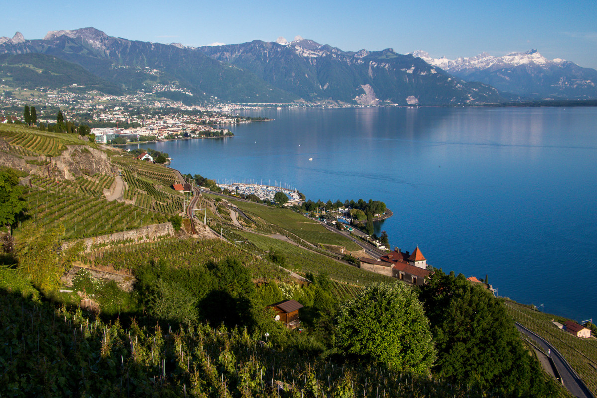 Blick auf Vevey in der Ferne