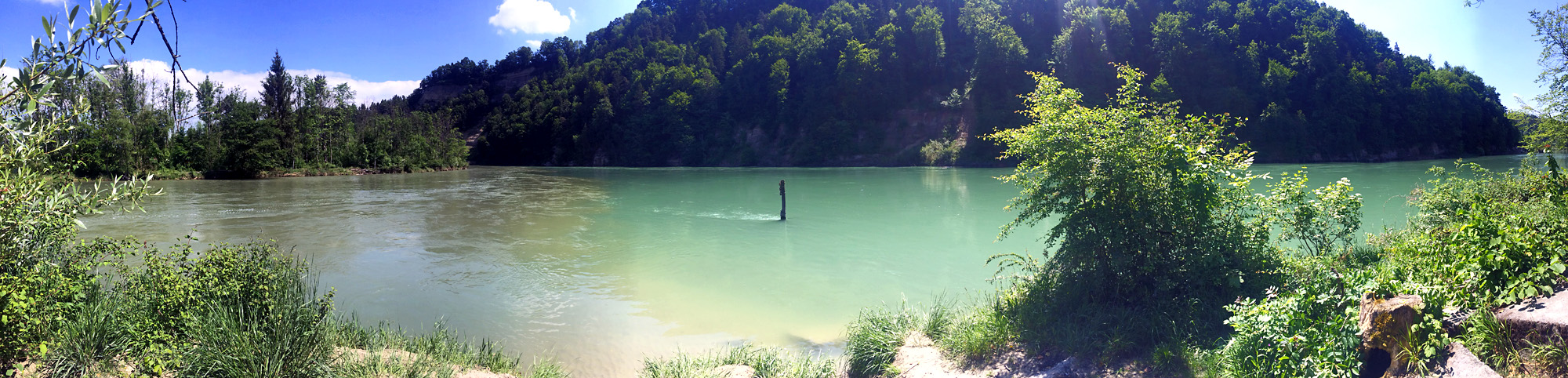 Zusammenfluss von Saane (links) und Aare (rechts)