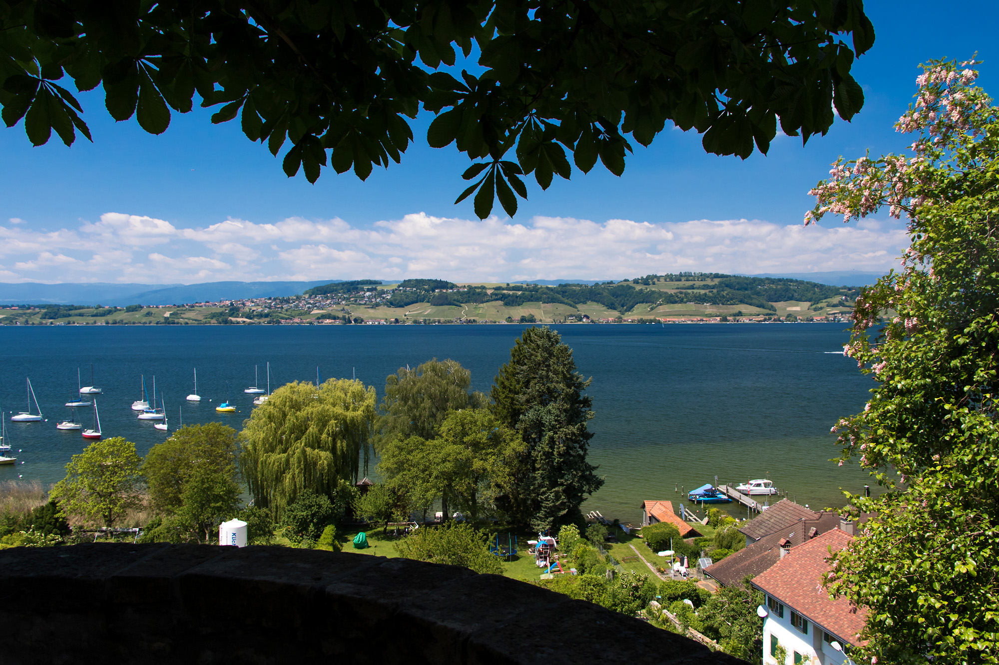 Aussicht vom Murtener Schlossgarten auf den Murtensee, FR