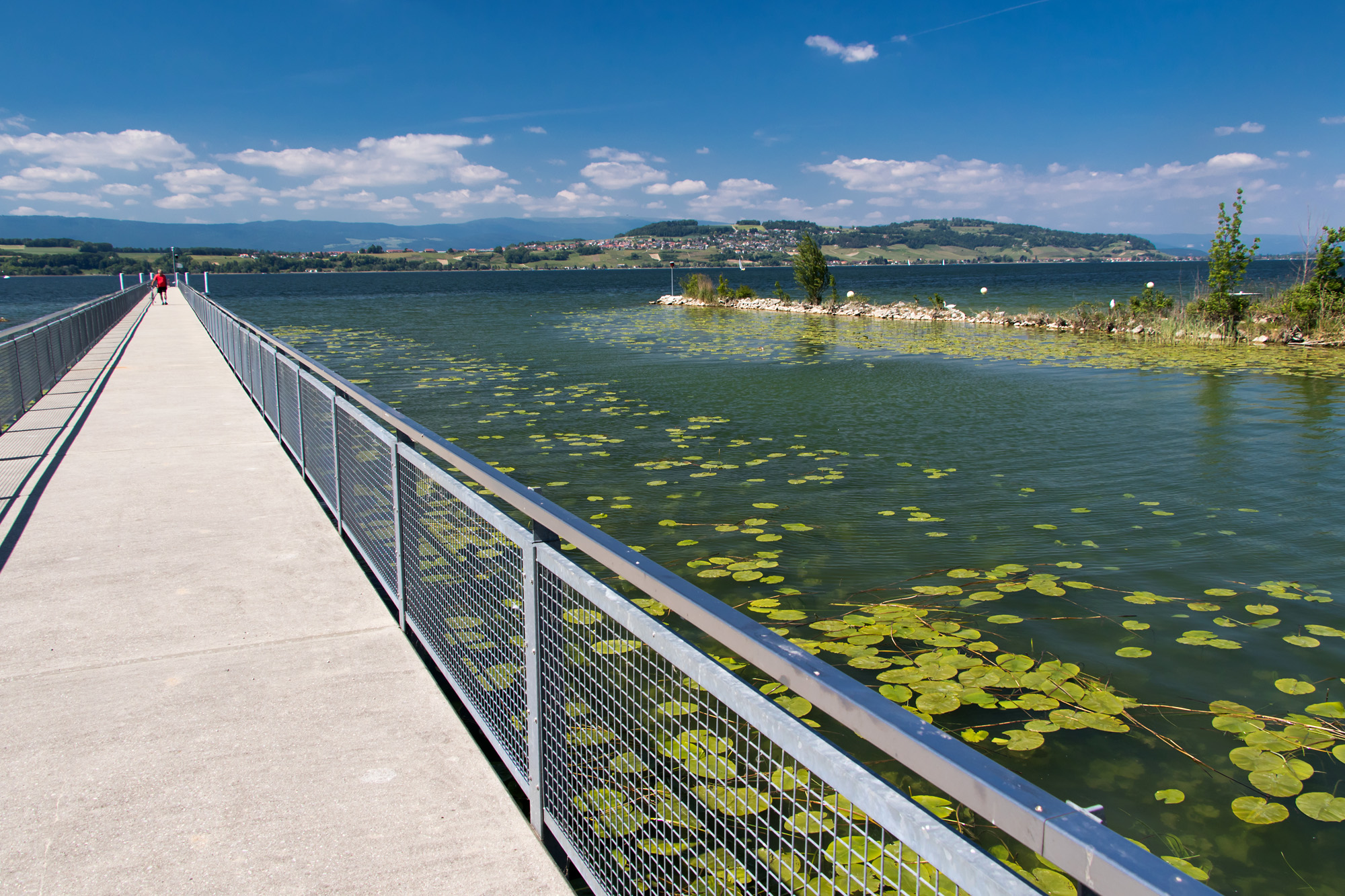Blick auf den Murtensee bei Faoug, VD