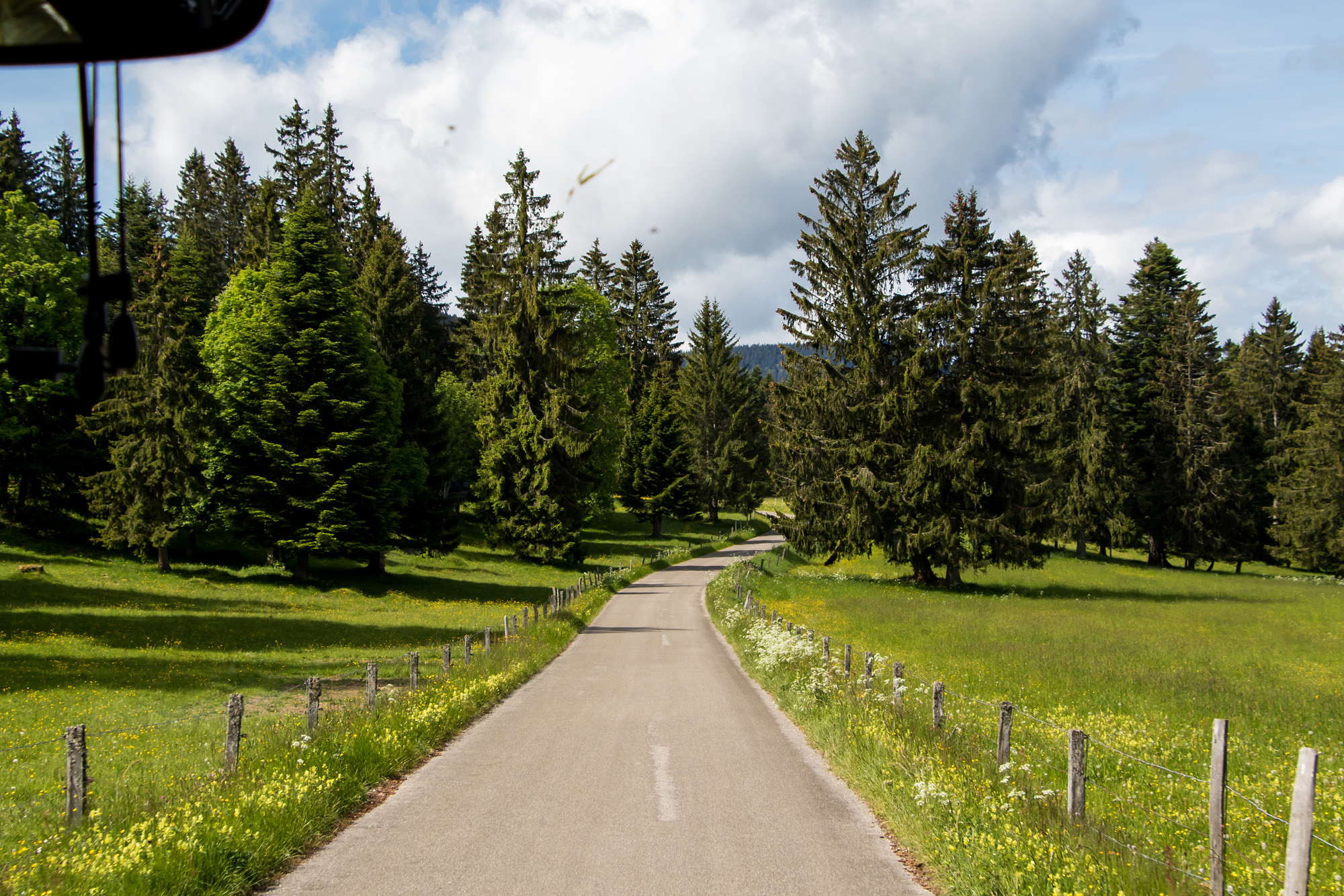 Auf der Jura-Hochweide Nouvelle Censière in Richtung Yverdon, VD