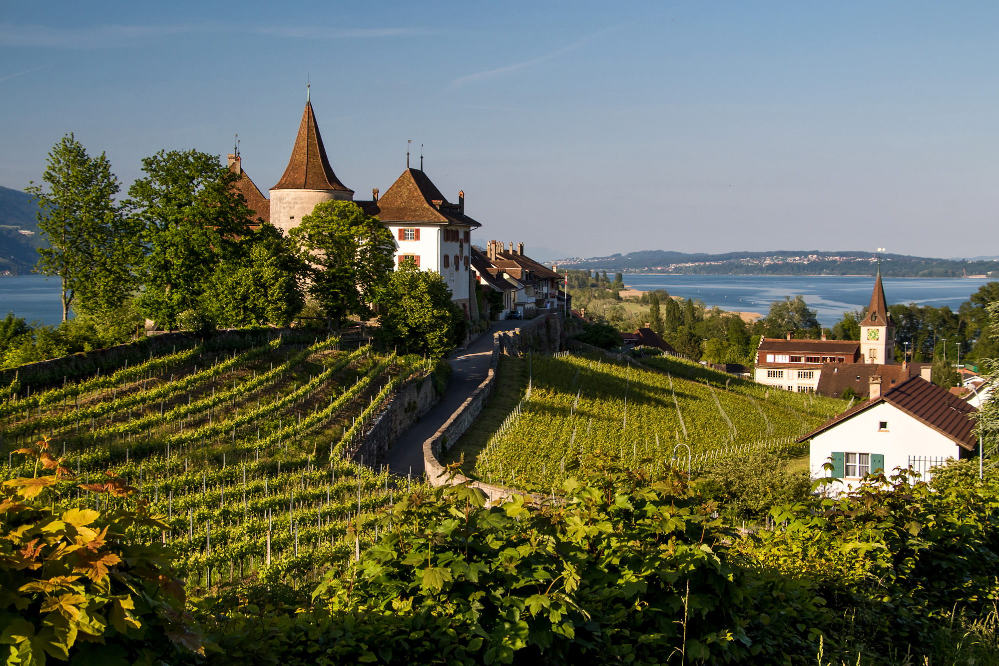 Schloss Erlach, BE