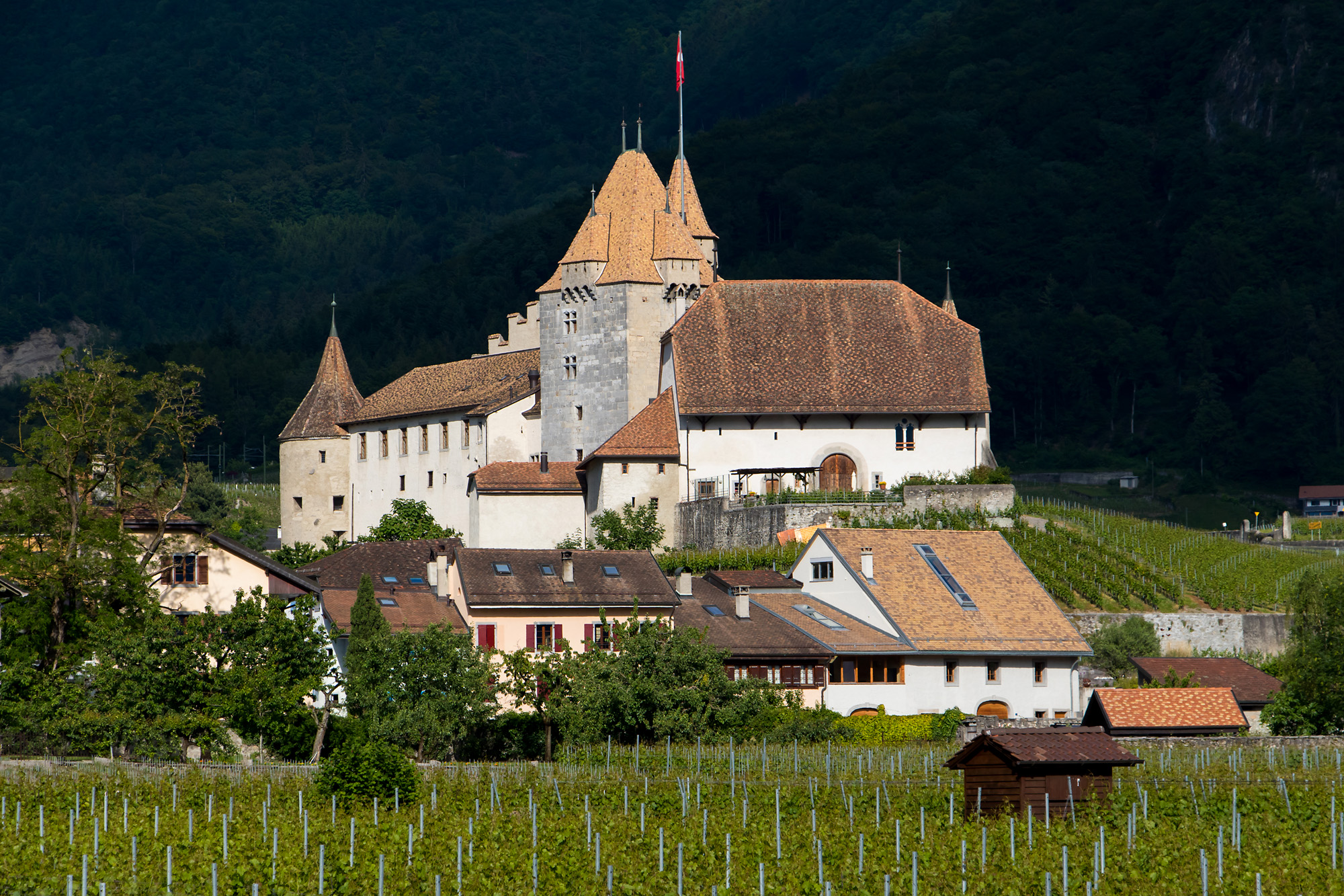 Schloss Aigle (VD)
