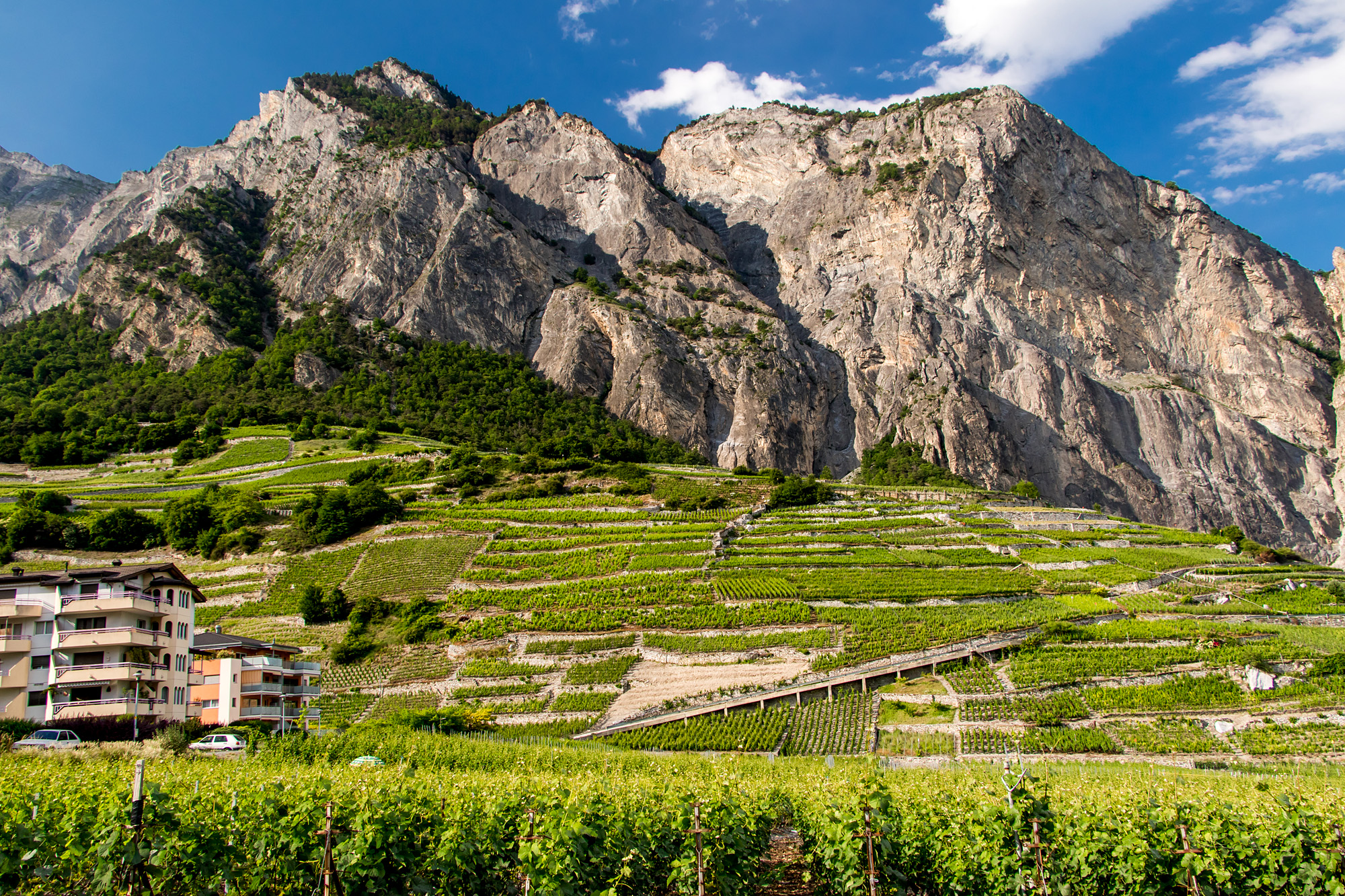 Prächtige Wein-Berge bei Chamoson, VS