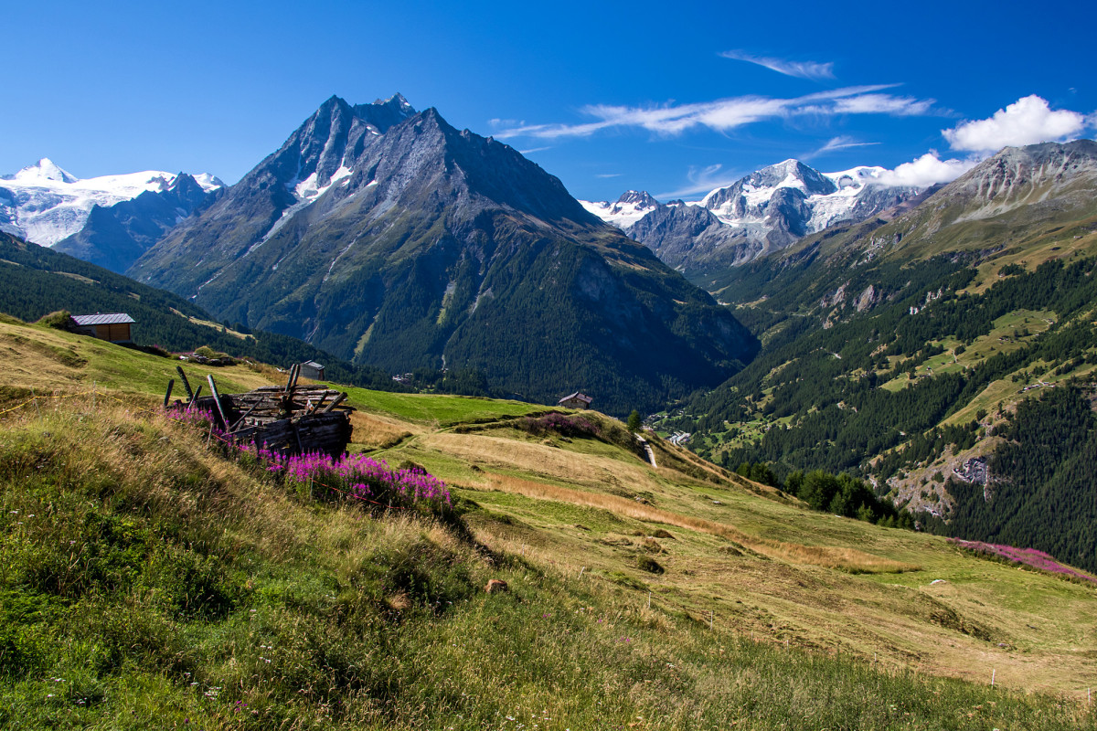 Ausblick auf den Dent de Perroc und die Pigne d'Arolla (VS)