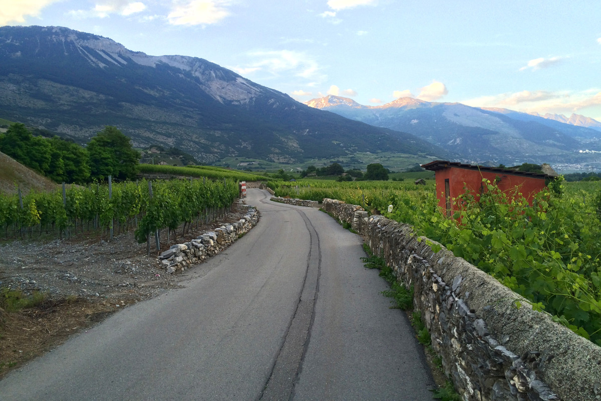 Los geht die Wanderung ostwärts, hier zwischen Sierre und Salgesch