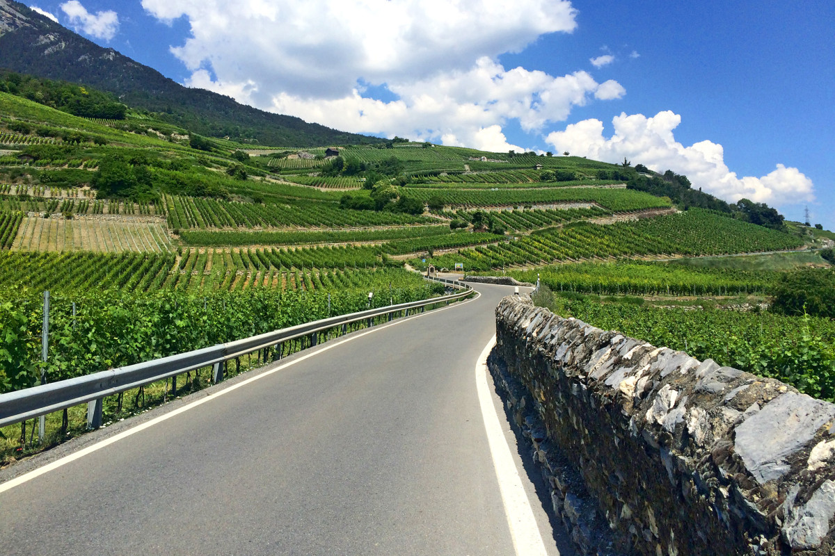 Bei drückender Hitze geht's in die Weinberge empor...