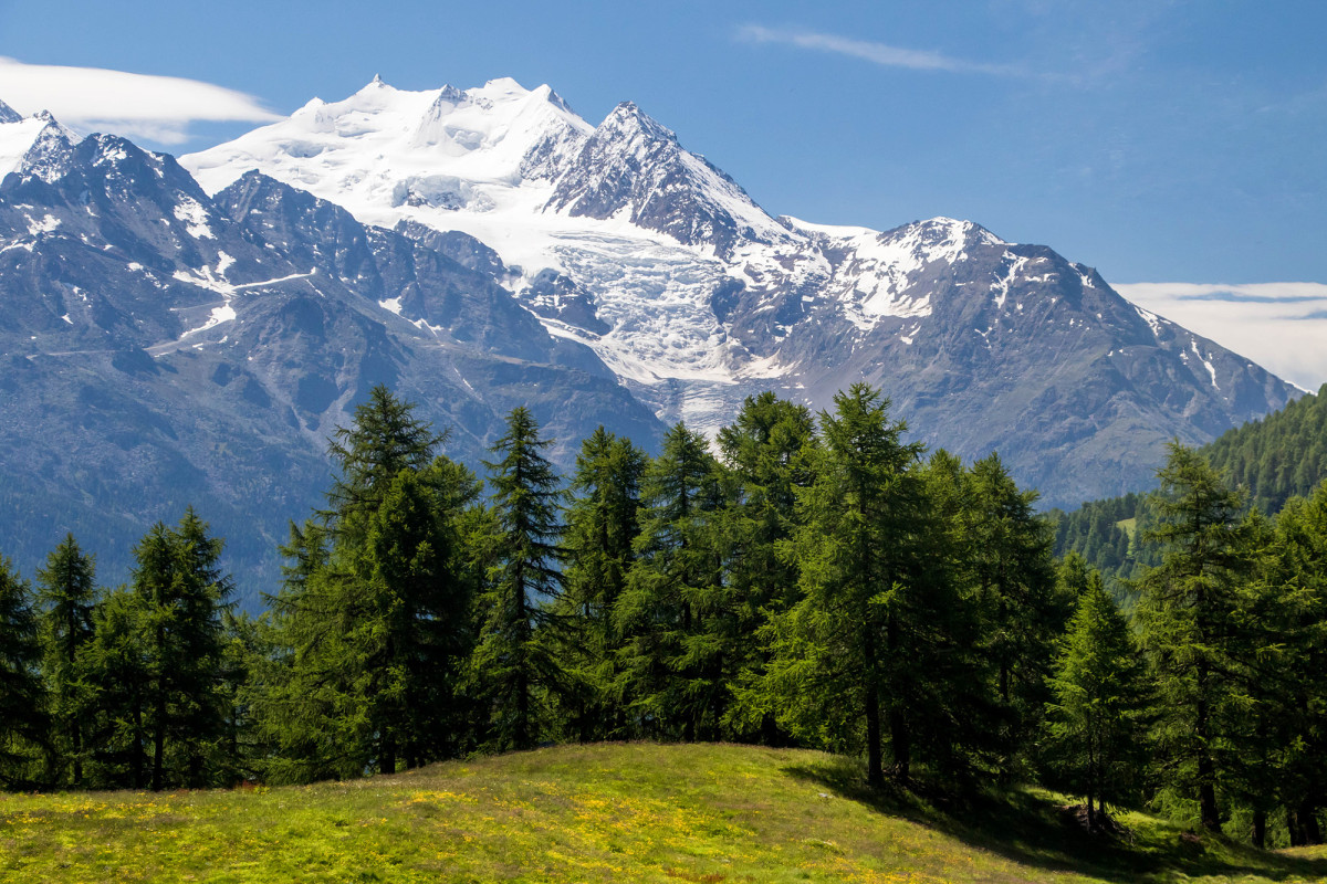 Prächtige Aussicht hinüber auf Weissmies und Triftgletscher