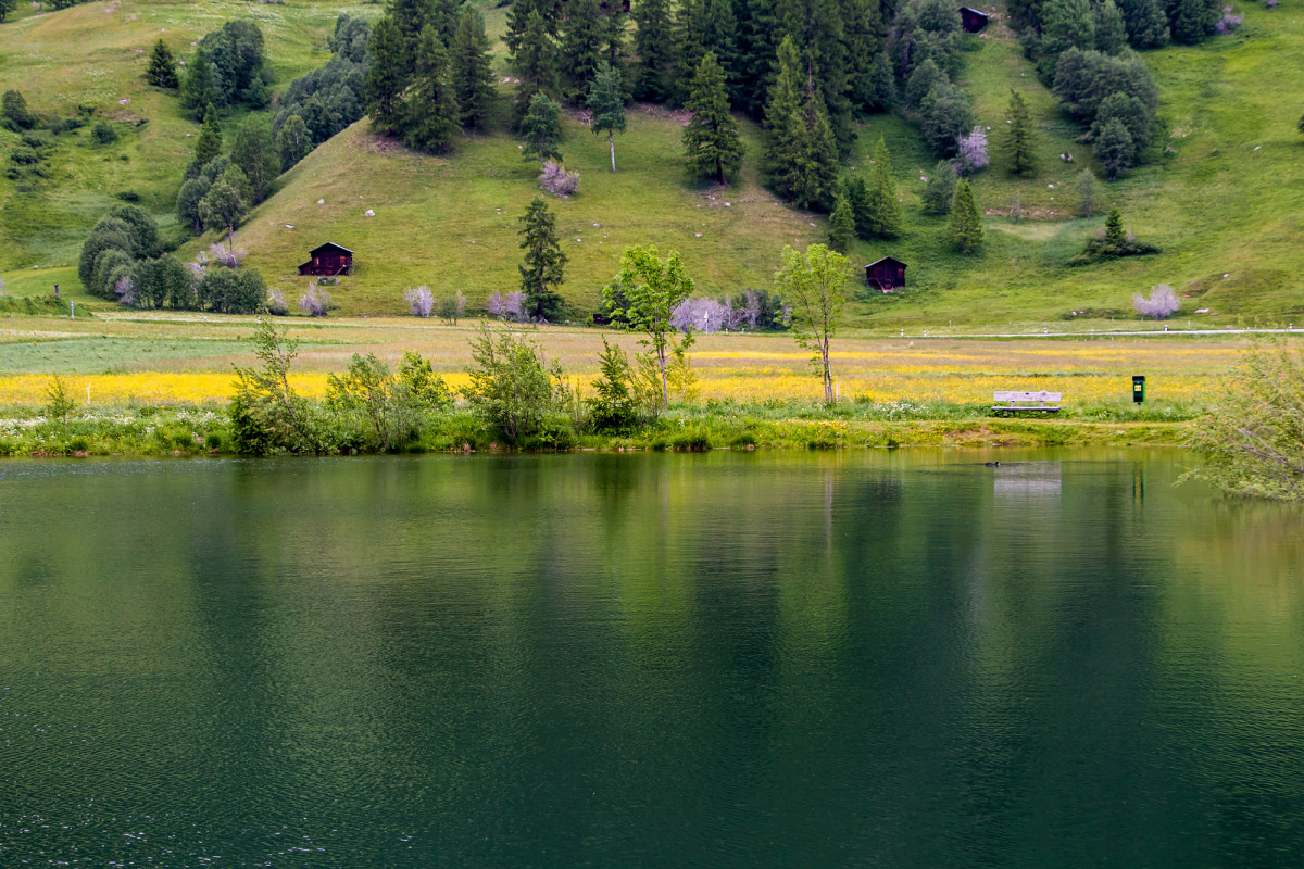 Blick über den kleinen, künstlich angelegten Geschinersee hinweg...