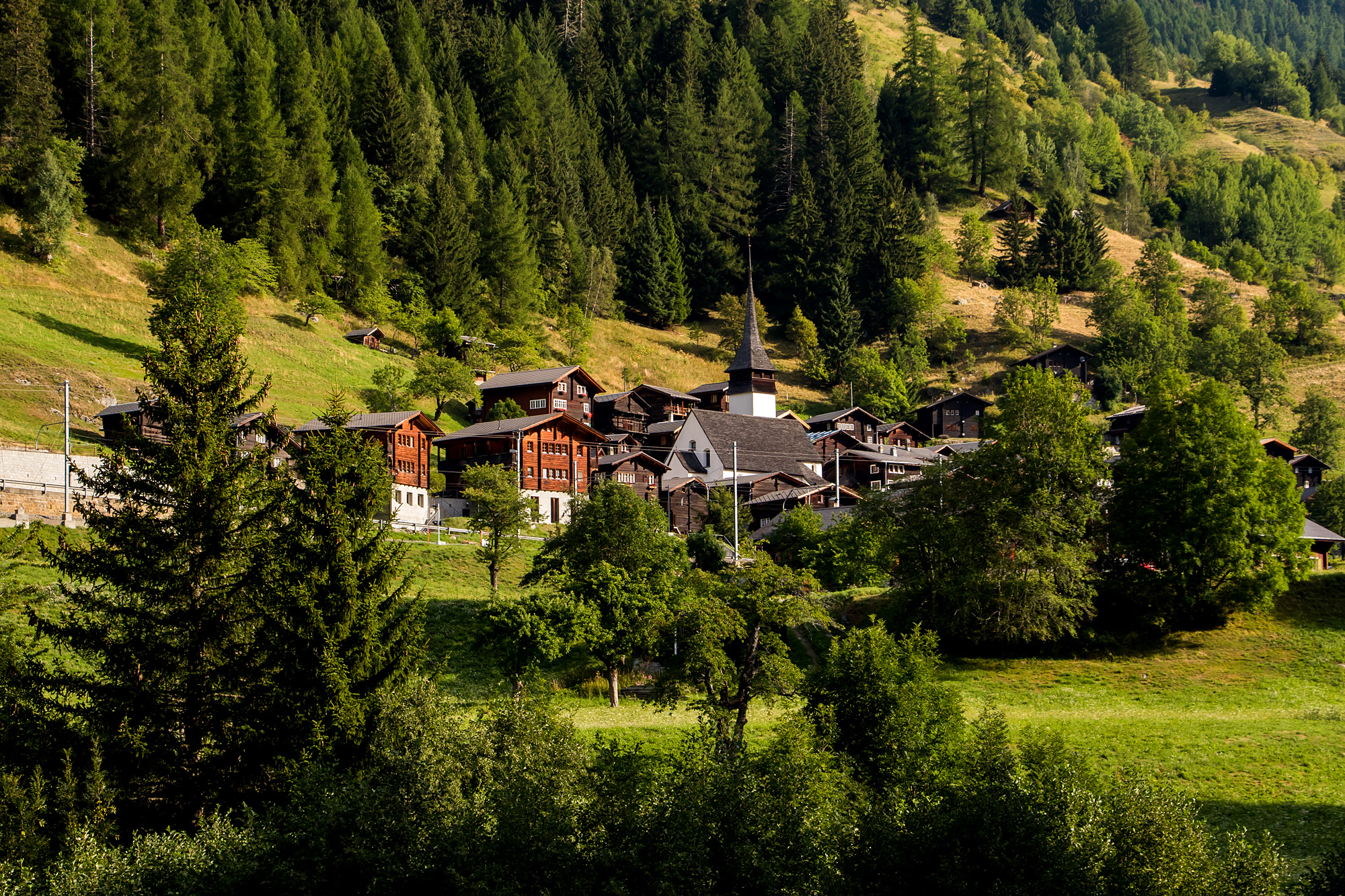 Gut versteckt, das Dörfchen Niederwald. Diesem entstammt der Hotelpionier César Ritz